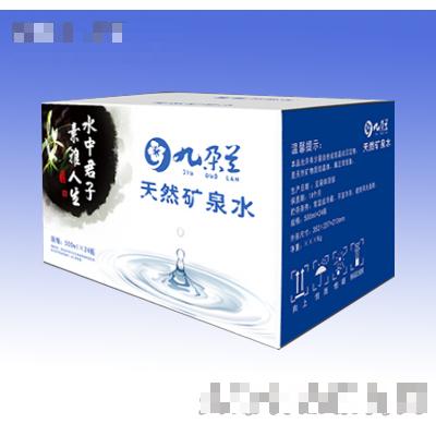 吉林省長春市九朵蘭科技有限公司