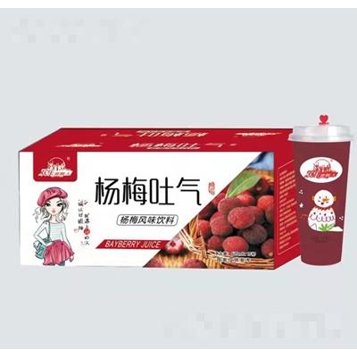 歡樂喜劇人楊梅吐氣楊梅風(fēng)味果汁飲料飲料620mlX15杯夏日初飲飲品招商