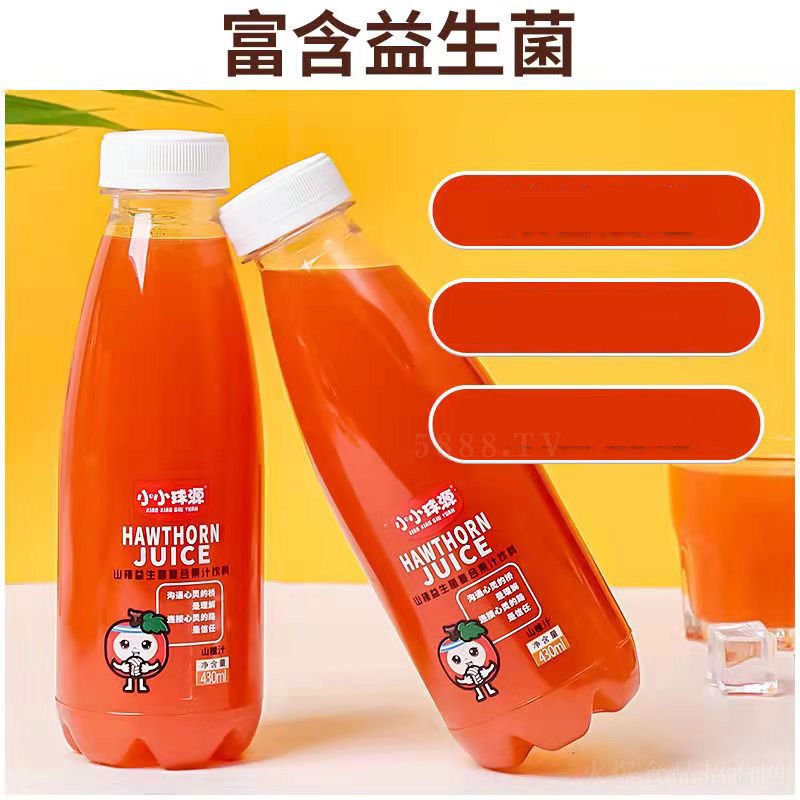吉林市小小球源礦泉飲品有限公司