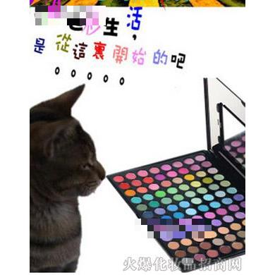 P96-伊姿蔓96色珠光亞光彩妝眼影盤