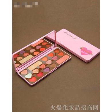 HOJO8007花漾甜心16色眼影盤