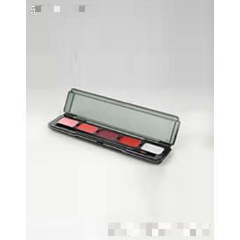 天獅集團(tuán)有限公司