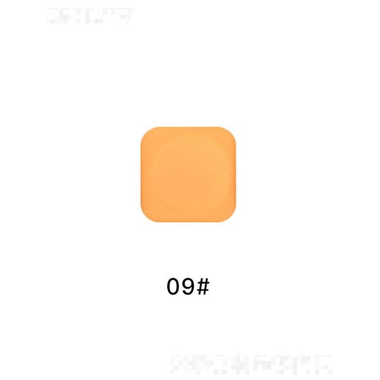 廣州仙蒂啞光大亮片蔥粉DIY眼影09# 易上色不飛粉修飾多色通用眼影