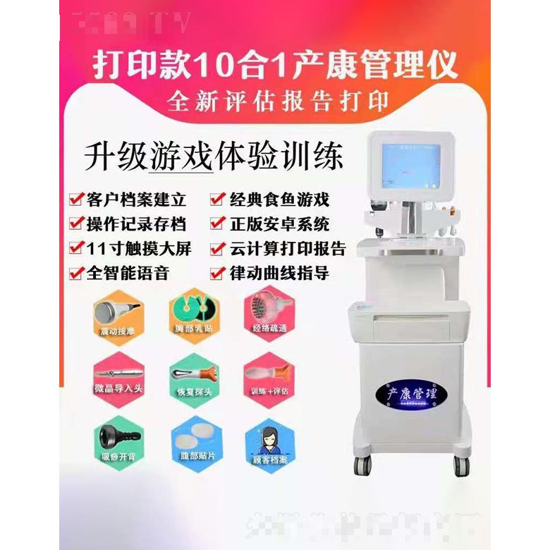打印款10合1產(chǎn)康管理儀