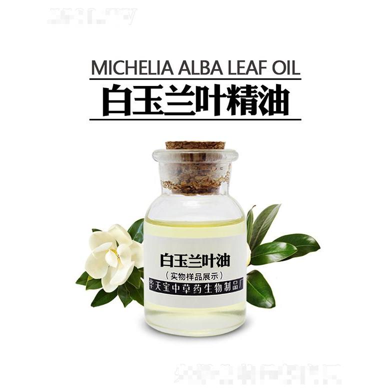 華天寶白玉蘭葉油