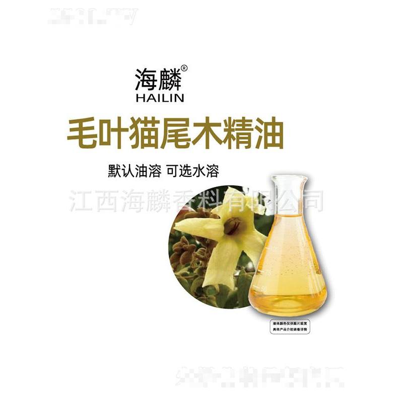 海麟毛葉貓尾木精油