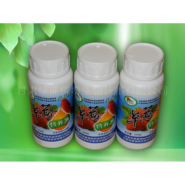 草莓營養(yǎng)液