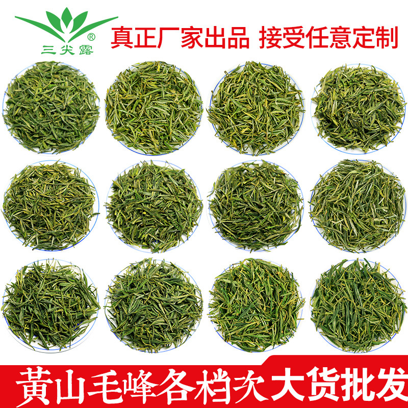 三尖露黃山毛峰春茶雀舌綠茶oem代工