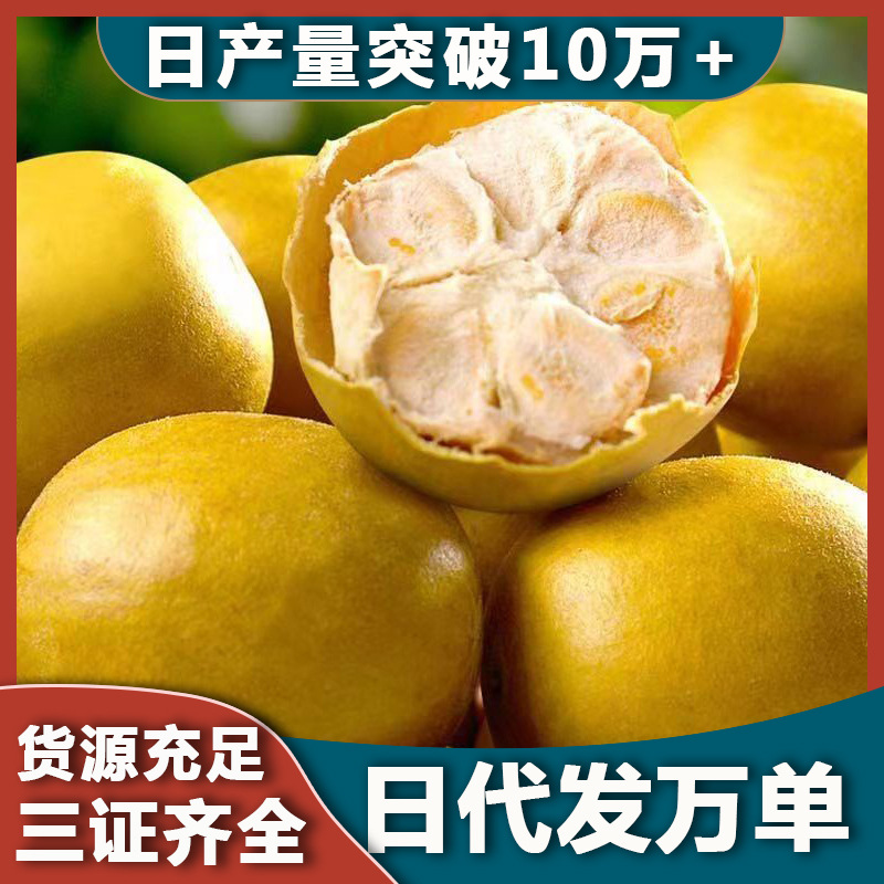 黃金果大果干果OEM花果茶