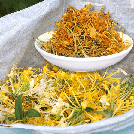 湖南五彩金銀花OEM代加工