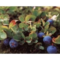 湖南金捷生物工程有限公司