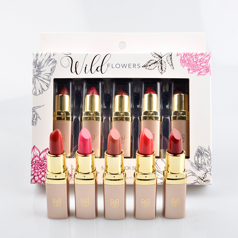 Rose Sally口紅套裝學(xué)生平價五只裝國貨唇膏套盒彩妝廠家現(xiàn)貨批發(fā)OEM代加工