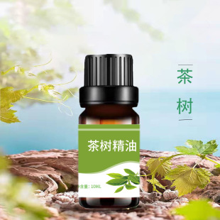 車載水溶植物茶樹香薰