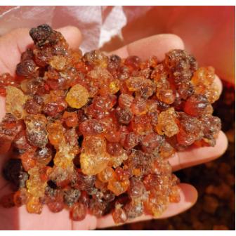 隨縣吉致生態(tài)農(nóng)業(yè)有限公司