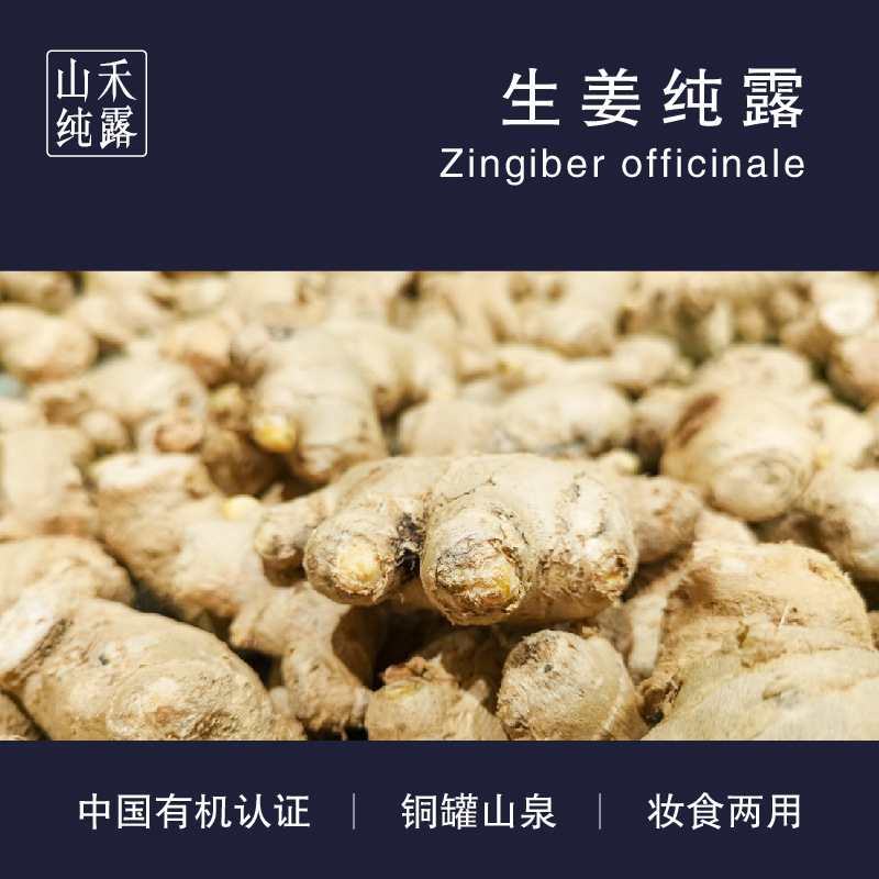 三伏天養(yǎng)生姜露劑功能飲料 有機生姜純露OEM代加工