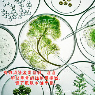 粉刺無痕水OEM代加工