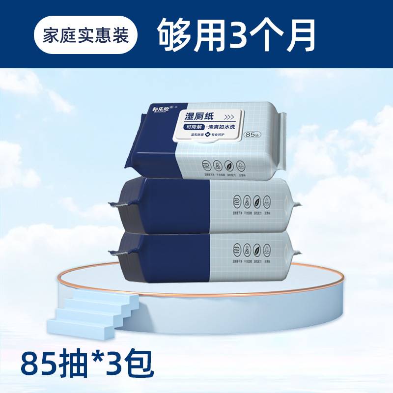 濕廁紙家庭實(shí)惠裝OEM代加工