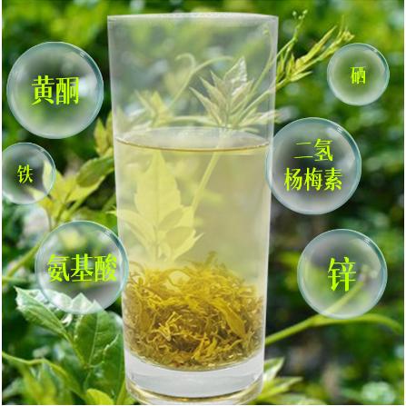 龍須芽尖oem代加工