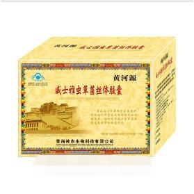 冬蟲夏草膠囊OEM代工