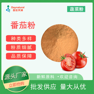 番茄粉 脫水蔬菜番茄粉