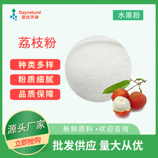 荔枝粉 荔枝果粉 固體飲料原料