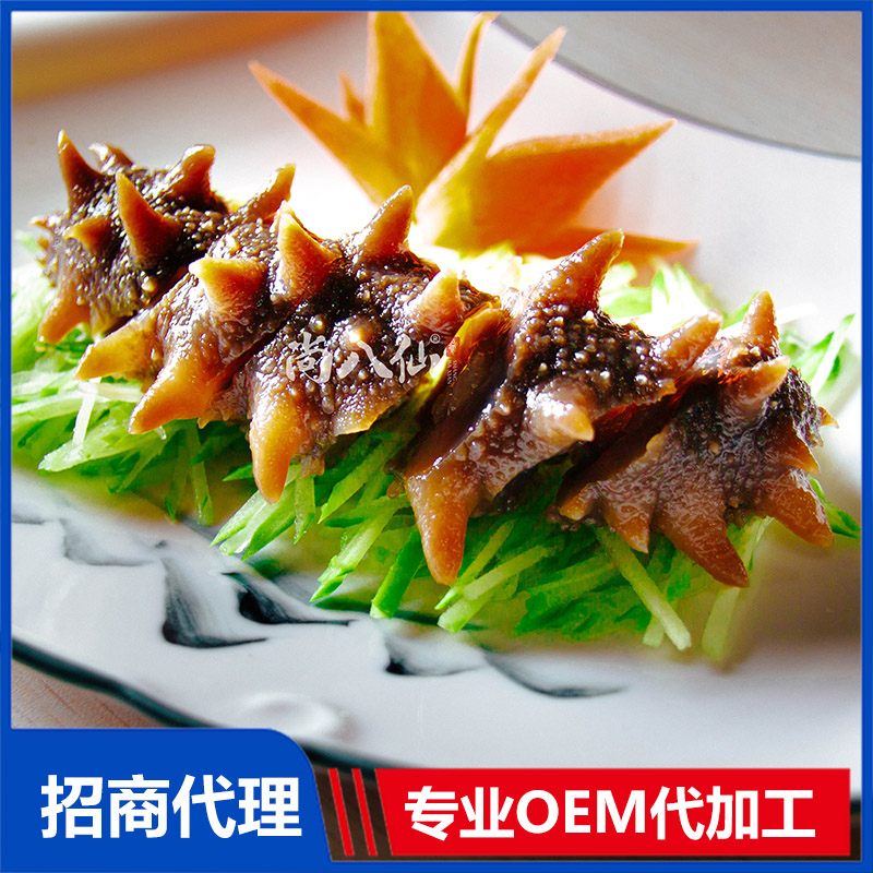 尚八仙日料刺參招商代理 日料刺參OEM加工