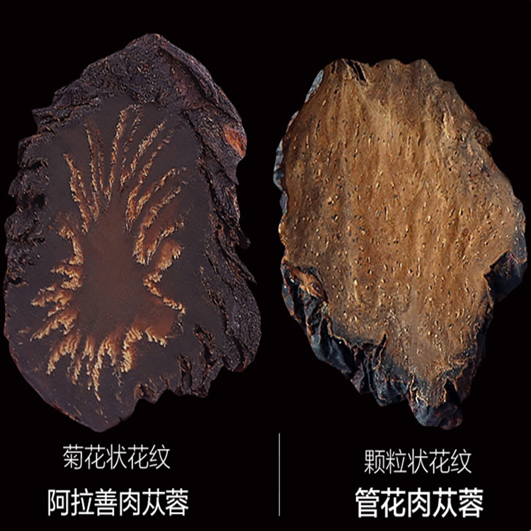 批發(fā)代發(fā)新鮮阿拉善肉蓯蓉與鎖陽泡酒內(nèi)蒙古中藥材肉蓯蓉油切片OEM代加工