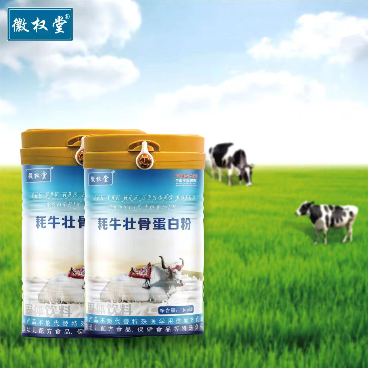 成人中老年兒童牦牛蛋白質(zhì)粉復(fù)合蛋白固體飲料羊奶駝奶1kg蛋白粉OEM代加工