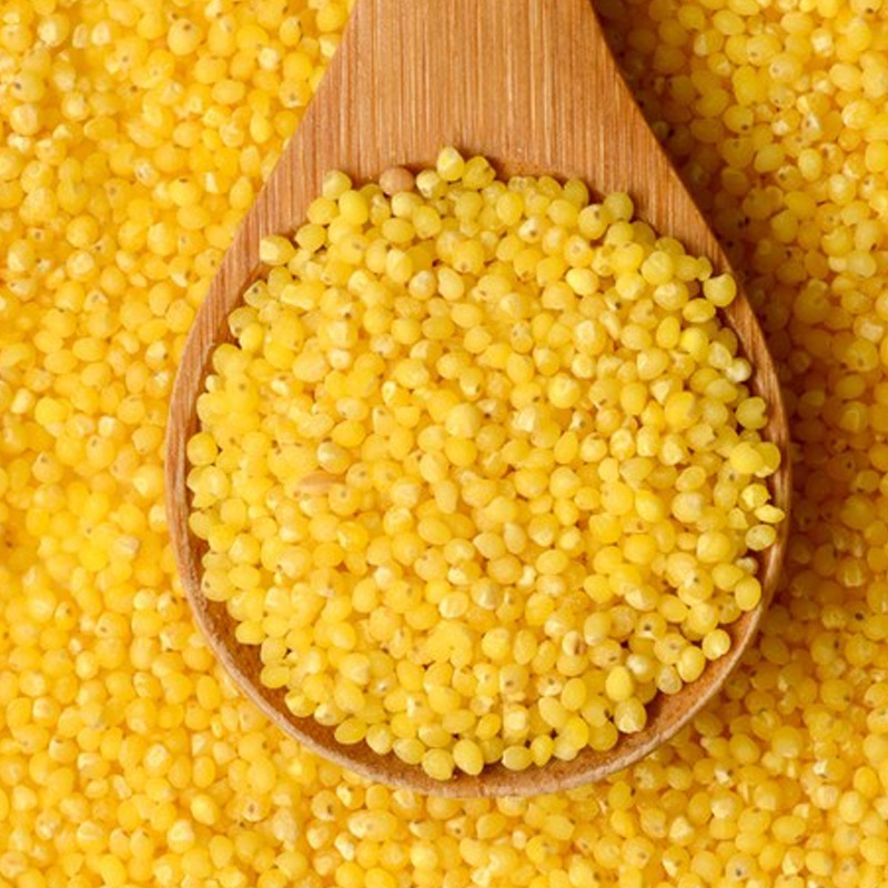 山東谷麥多生物科技有限公司