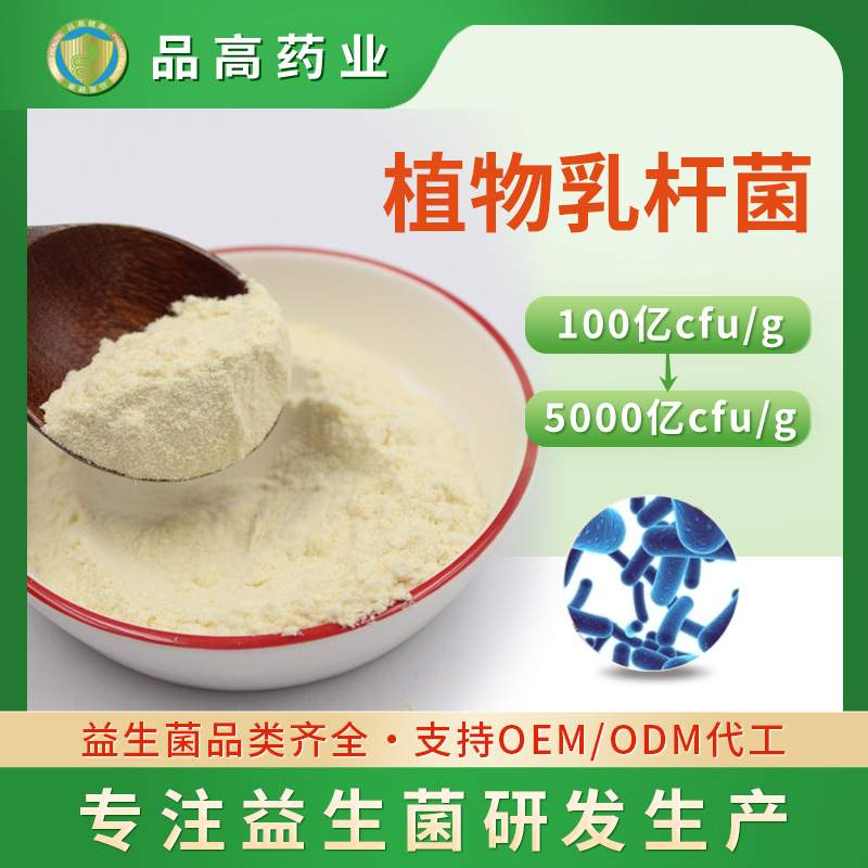 植物乳桿菌OEM代加工