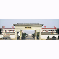 亳州市好運(yùn)酒業(yè)有限責(zé)任公司