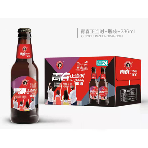 青春正當(dāng)時(shí)啤酒棕瓶236ml.jpg