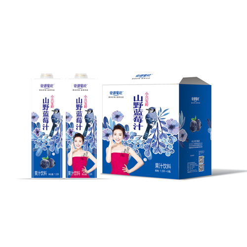 優(yōu)洋山野藍(lán)莓果汁飲料1.5L.png