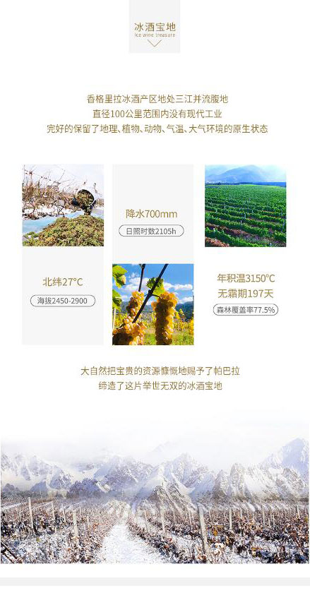 帕巴拉冰酒葡萄酒375ml_03.jpg