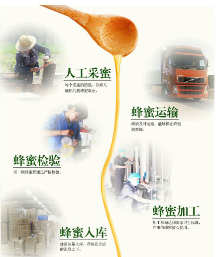 以嶺牌洋槐蜂蜜_08.jpg
