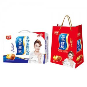 友濃堅(jiān)果核桃復(fù)合蛋白飲料