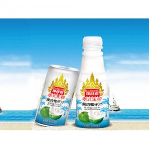 肯揚 泰式椰子汁500g