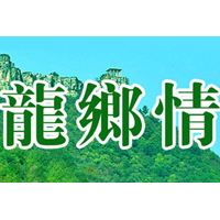 南陽市龍鄉(xiāng)情食品有限公司