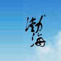 山東渤海實業(yè)股份有限公司