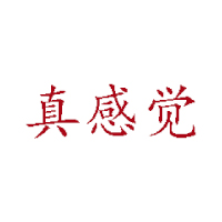 上海真感覺(jué)食品有限公司