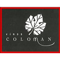 山東威海方正國際