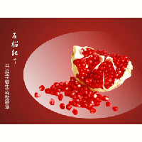 上海綠聯(lián)實(shí)業(yè)投資有限公司