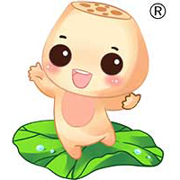 河南小洋子荷藕食品有限公司