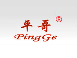 福建平哥食品有限公司