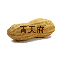 開封市青天府食品加工廠