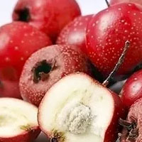 天津盛興食品廠